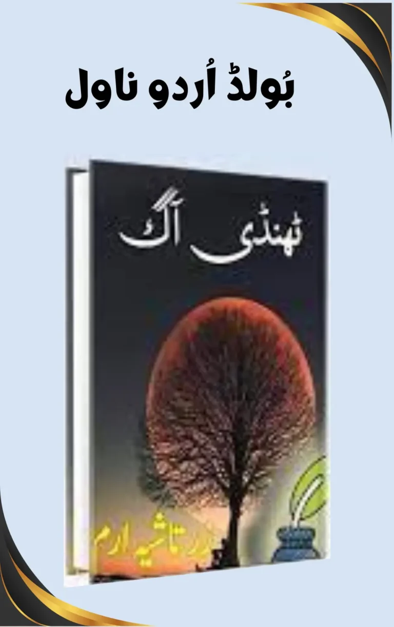 Most Romantic and Bold Urdu Novels pdf Download