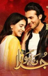 Romance novel in urdu