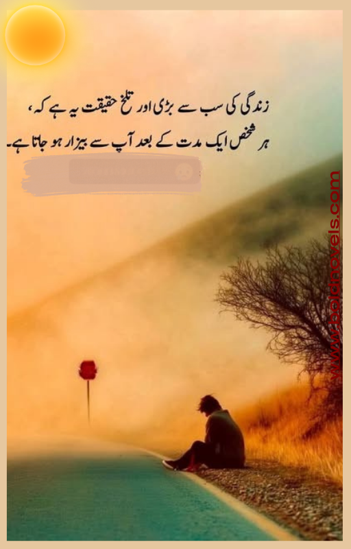 Mr. Psycho Urdu Novel Cover – Passionate and Mysterious Romance by Barbie Boo