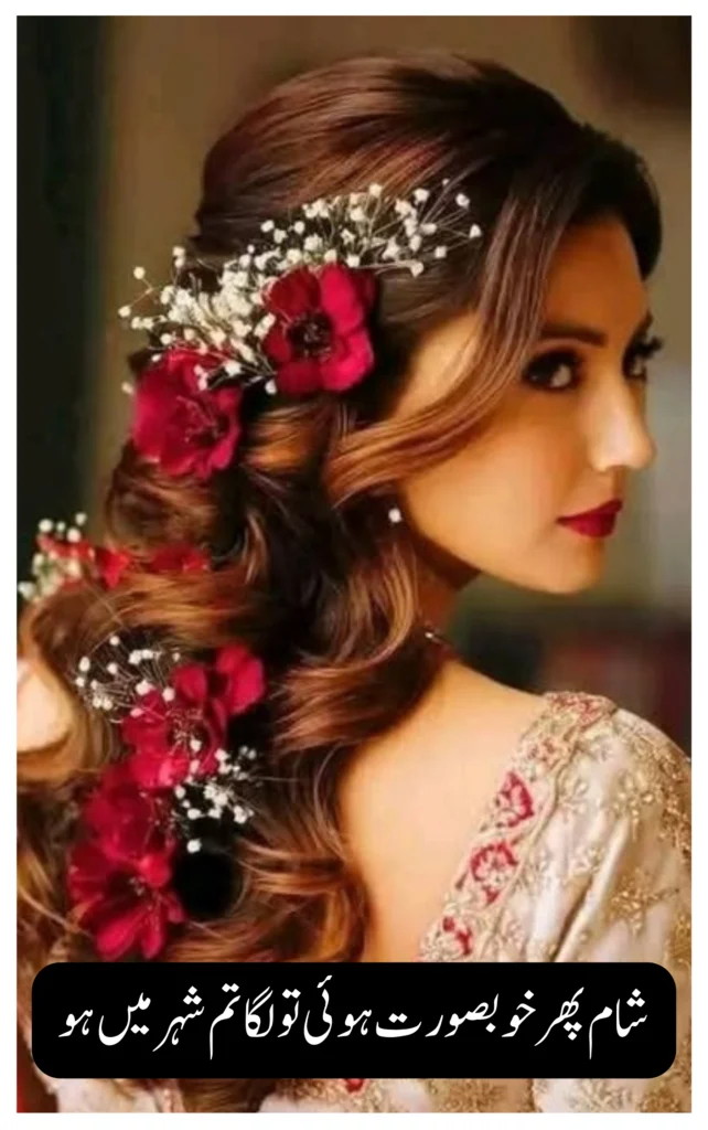 Wo Aashiqui Hai Meri bold romantic Urdu novel PDF cover download free